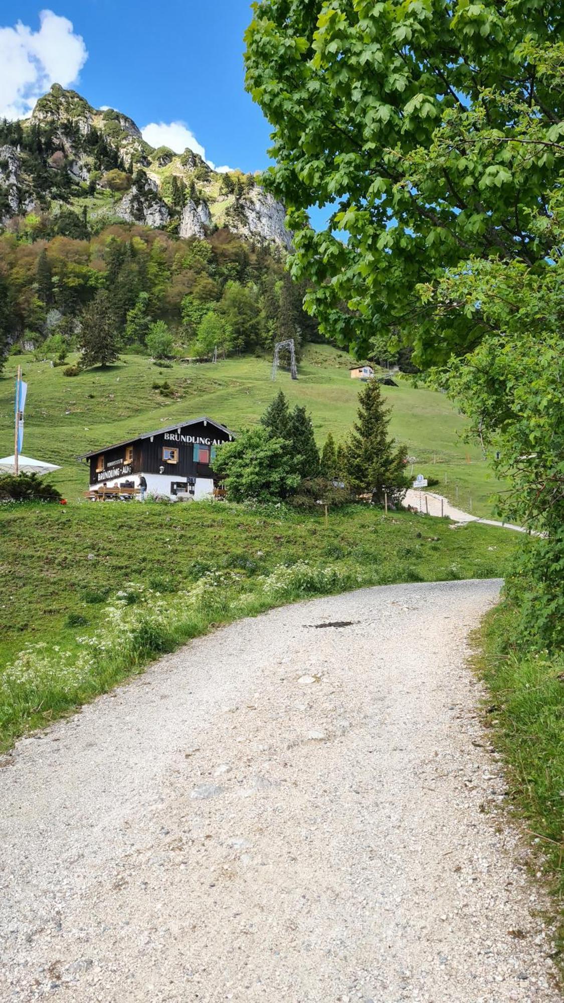 Bruendling-Alm Berggasthof Auf 1167M Auf Dem Hochfelln Hotel Bergen  Ngoại thất bức ảnh